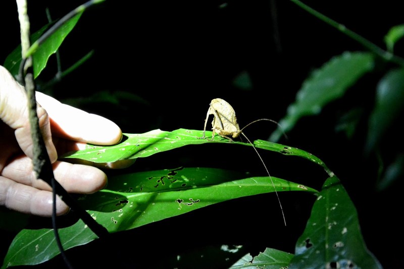 b2824-2014_kostarika2b28111629