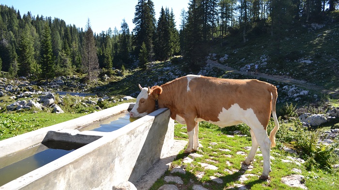 DSC_1674