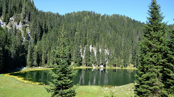 DSC_1753