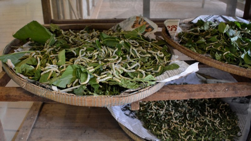 Vietnam in Kambodza 2016 (122)