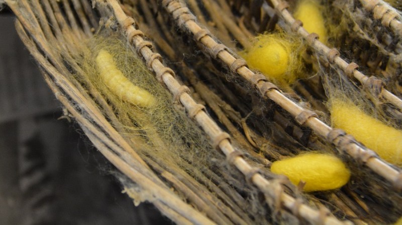 Vietnam in Kambodza 2016 (131)