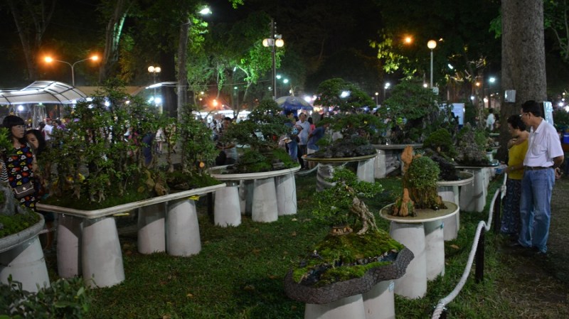 Vietnam in Kambodza 2016 (1582)