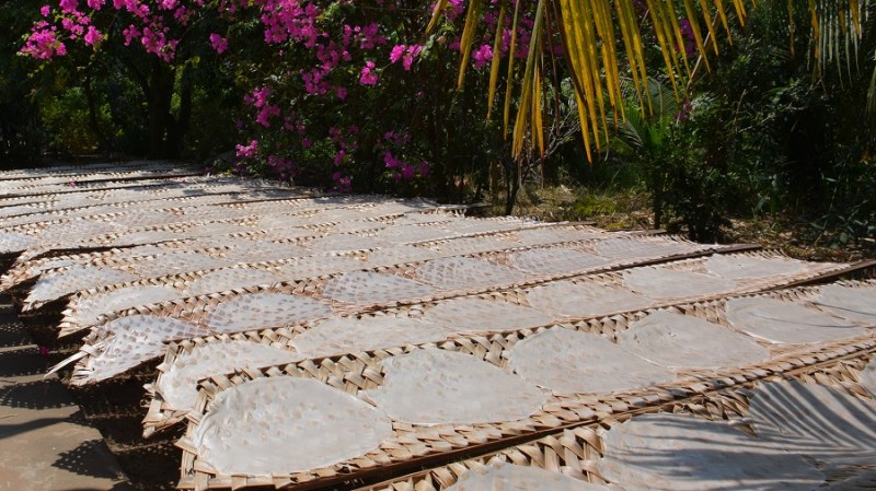 Vietnam in Kambodza 2016 (1705)