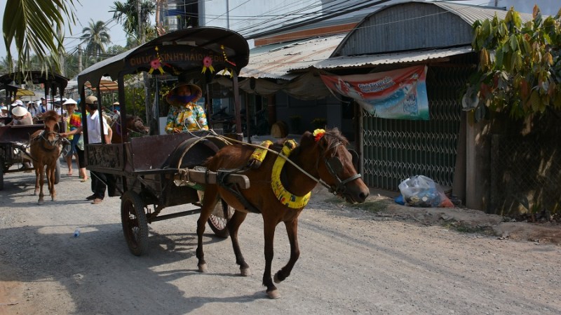Vietnam in Kambodza 2016 (1793)