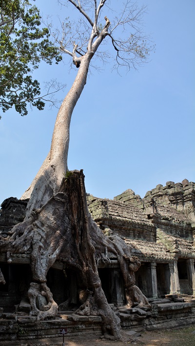 Vietnam in Kambodza 2016 (234)