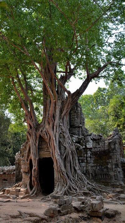 Vietnam in Kambodza 2016 (335)