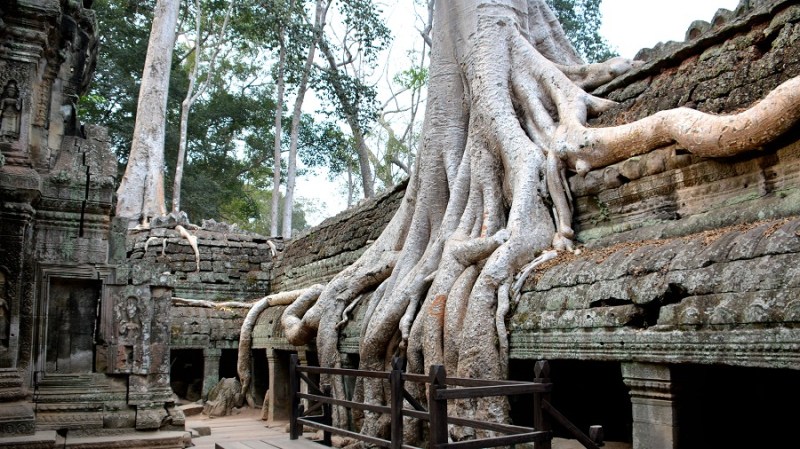 Vietnam in Kambodza 2016 (883)