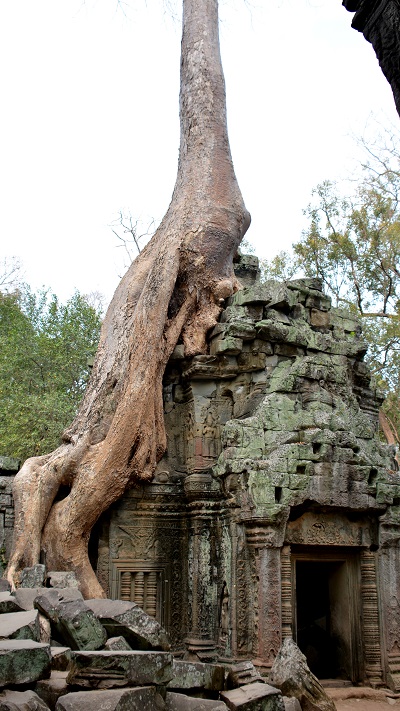 Vietnam in Kambodza 2016 (963)