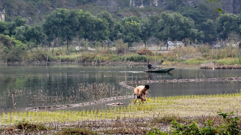 Vietnam in Kambodza 2016 (3791)