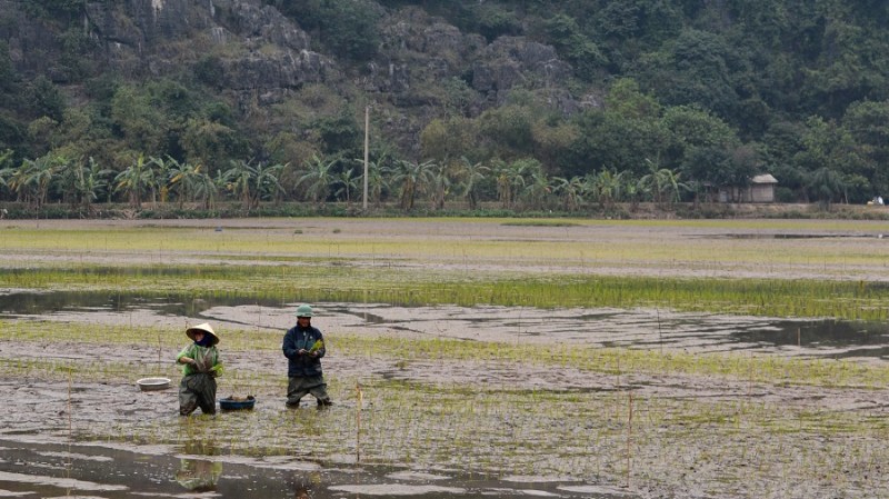 Vietnam in Kambodza 2016 (3798)