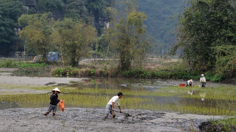 Vietnam in Kambodza 2016 (3812)