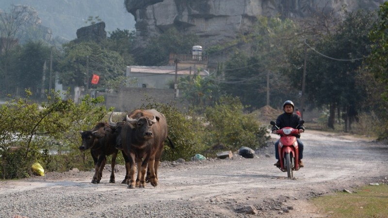 Vietnam in Kambodza 2016 (4467)