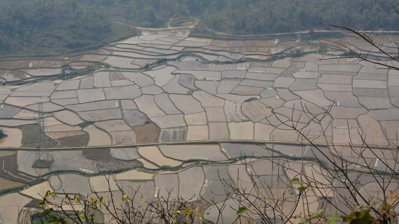 Vietnam in Kambodza 2016 (4659)