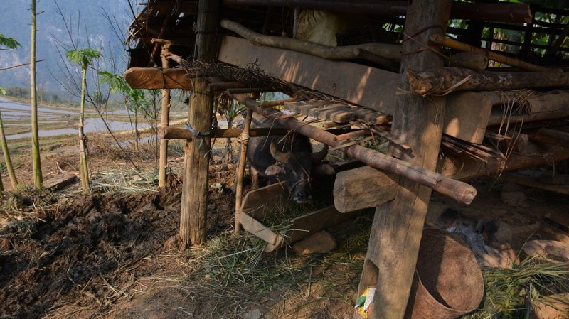 Vietnam in Kambodza 2016 (4689)