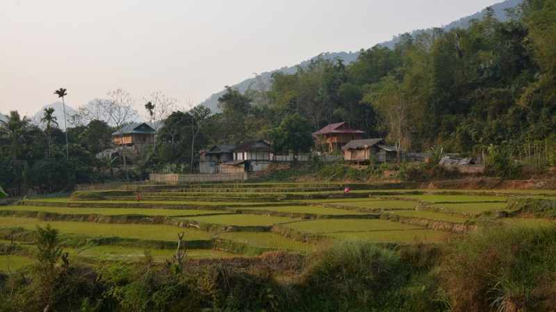 Vietnam in Kambodza 2016 (4722)