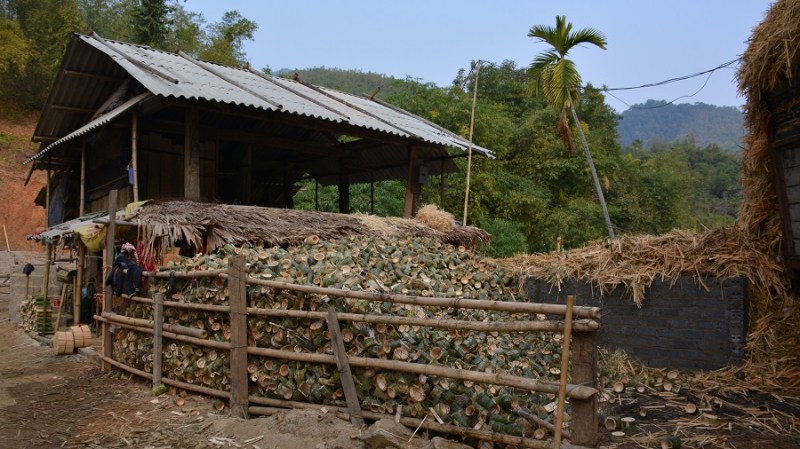 Vietnam in Kambodza 2016 (4736)