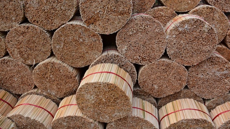 Vietnam in Kambodza 2016 (4740)