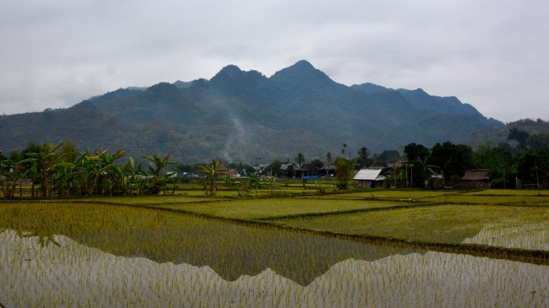 Vietnam in Kambodza 2016 (4783)