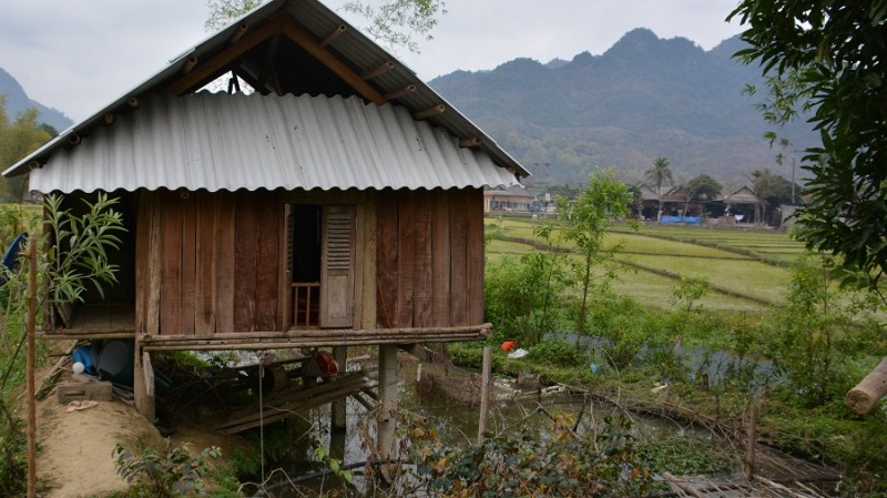 Vietnam in Kambodza 2016 (4795)