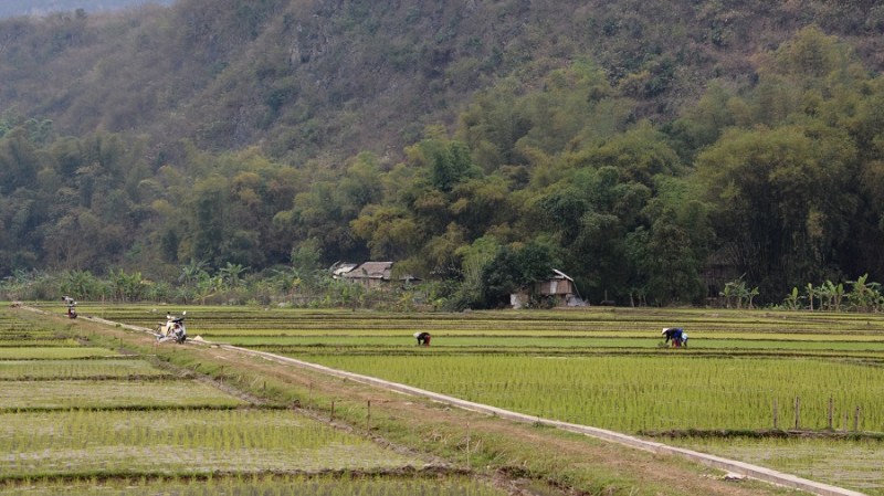 Vietnam in Kambodza 2016 (4824)