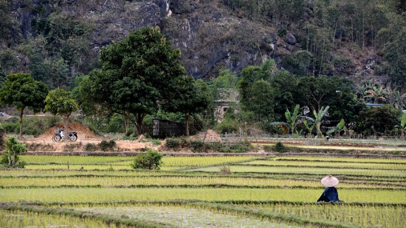 Vietnam in Kambodza 2016 (4981)