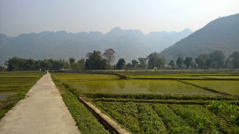 WP_20160222_10_32_16_Pro_LI