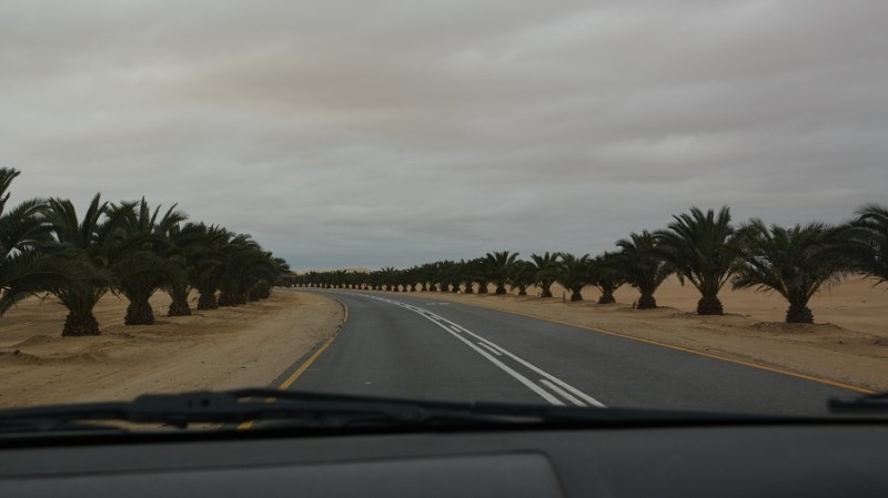 namibija-in-bocvana-2016-1004