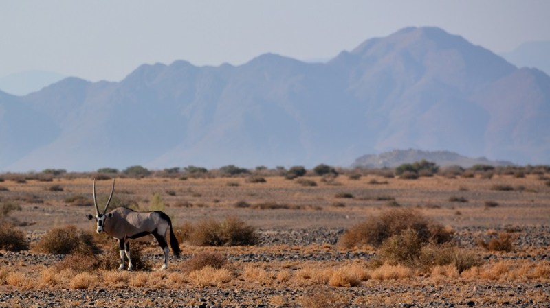 namibija-in-bocvana-2016-141
