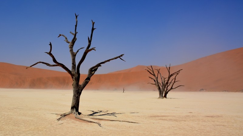 namibija-in-bocvana-2016-301