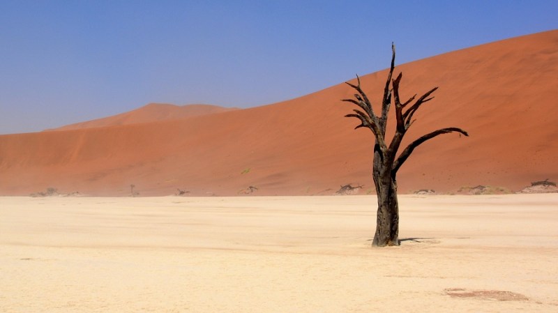 namibija-in-bocvana-2016-308