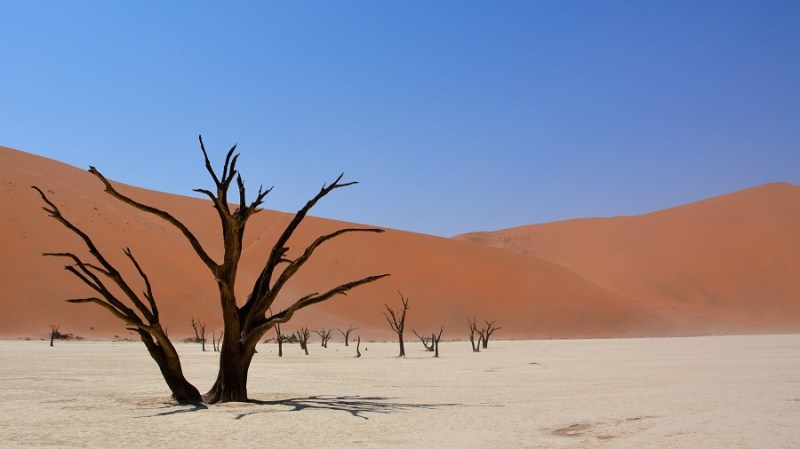 namibija-in-bocvana-2016-333