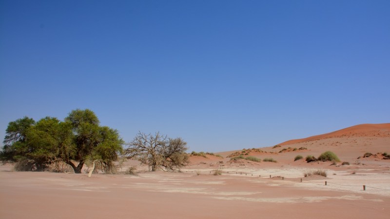namibija-in-bocvana-2016-343