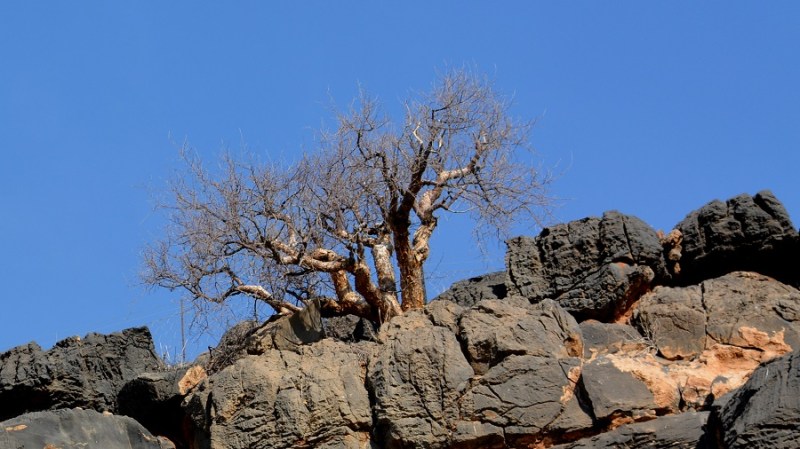 namibija-in-bocvana-2016-39