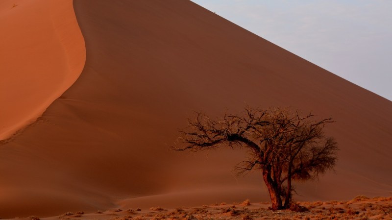 namibija-in-bocvana-2016-531