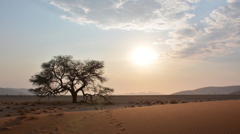 namibija-in-bocvana-2016-617