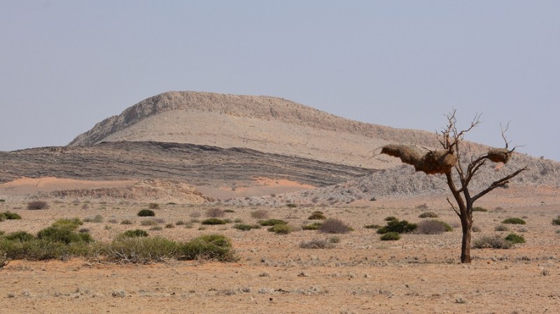 namibija-in-bocvana-2016-744