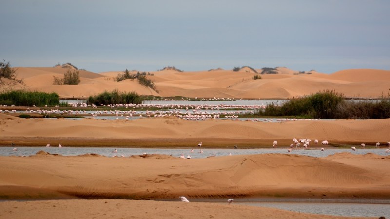 namibija-in-bocvana-2016-859