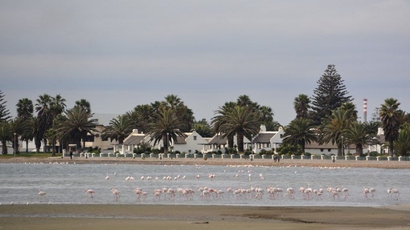 namibija-in-bocvana-2016-912