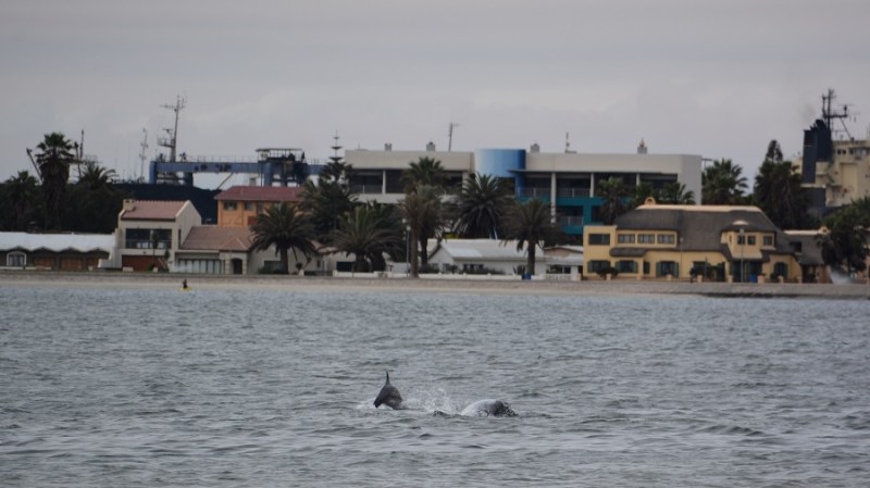 namibija-in-bocvana-2016-943