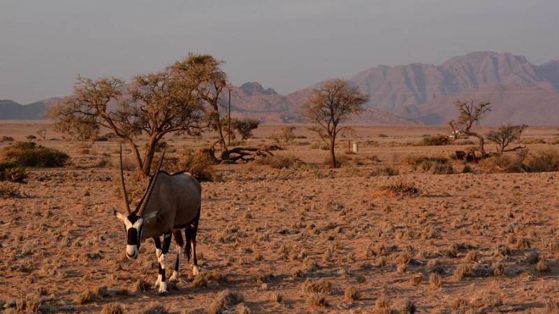 namibija-in-bocvana-2016-95