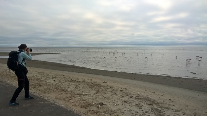 nokia_namibija-in-bocvana-2016-103