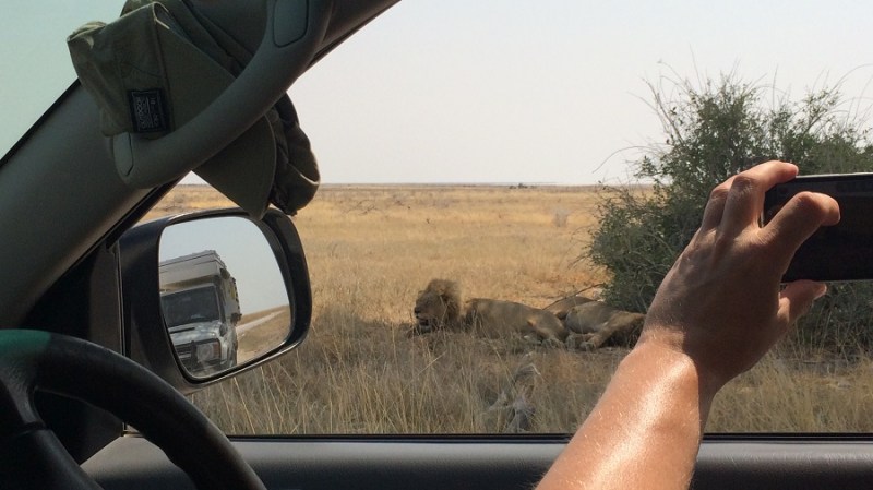iphone_namibija-in-bocvana-2016-302