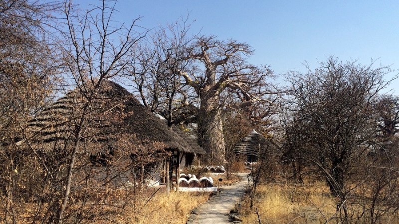 iphone_namibija-in-bocvana-2016-442