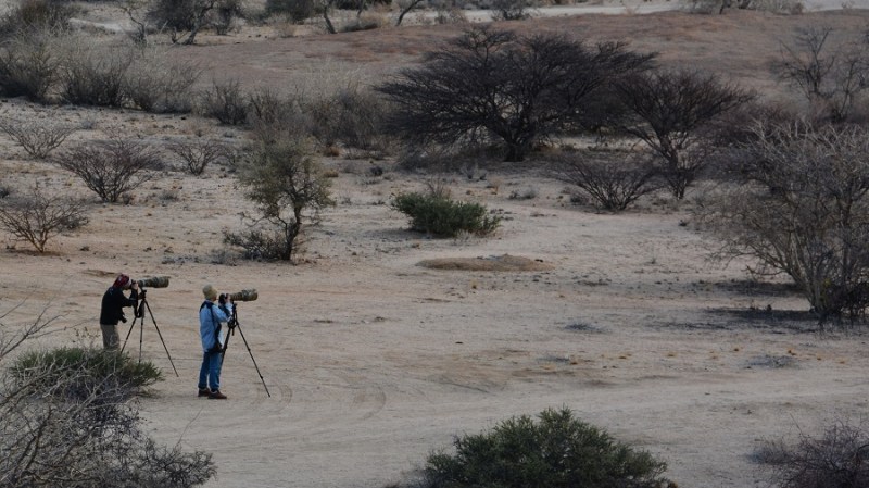 namibija-in-bocvana-2016-1462