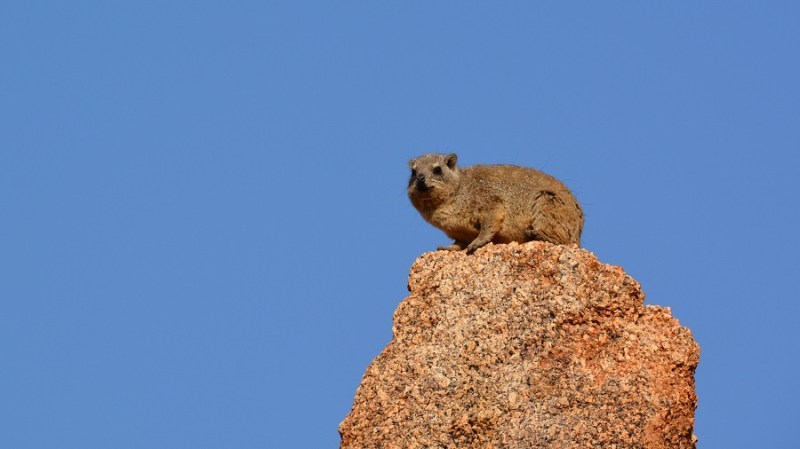 namibija-in-bocvana-2016-1574