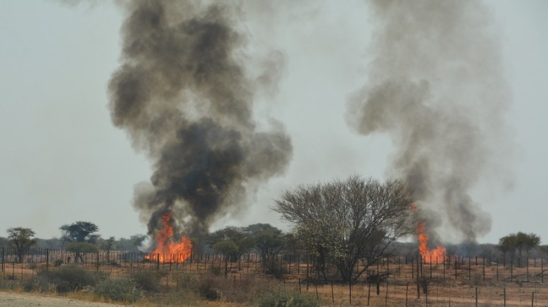 namibija-in-bocvana-2016-1606