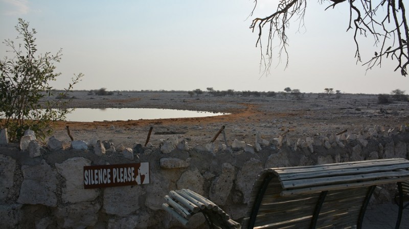 namibija-in-bocvana-2016-1636
