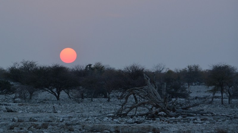namibija-in-bocvana-2016-1793