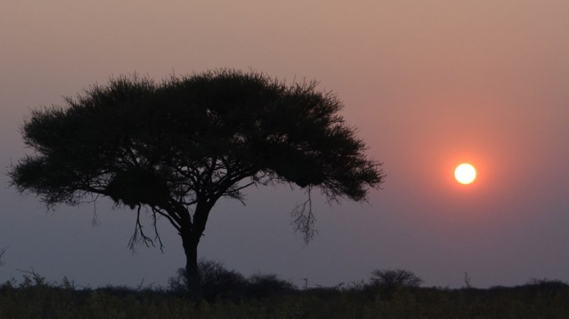 namibija-in-bocvana-2016-1808