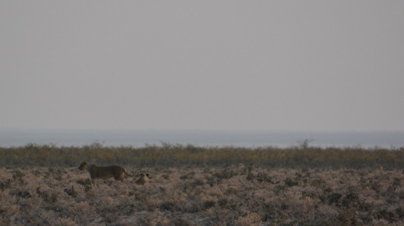 namibija-in-bocvana-2016-1822